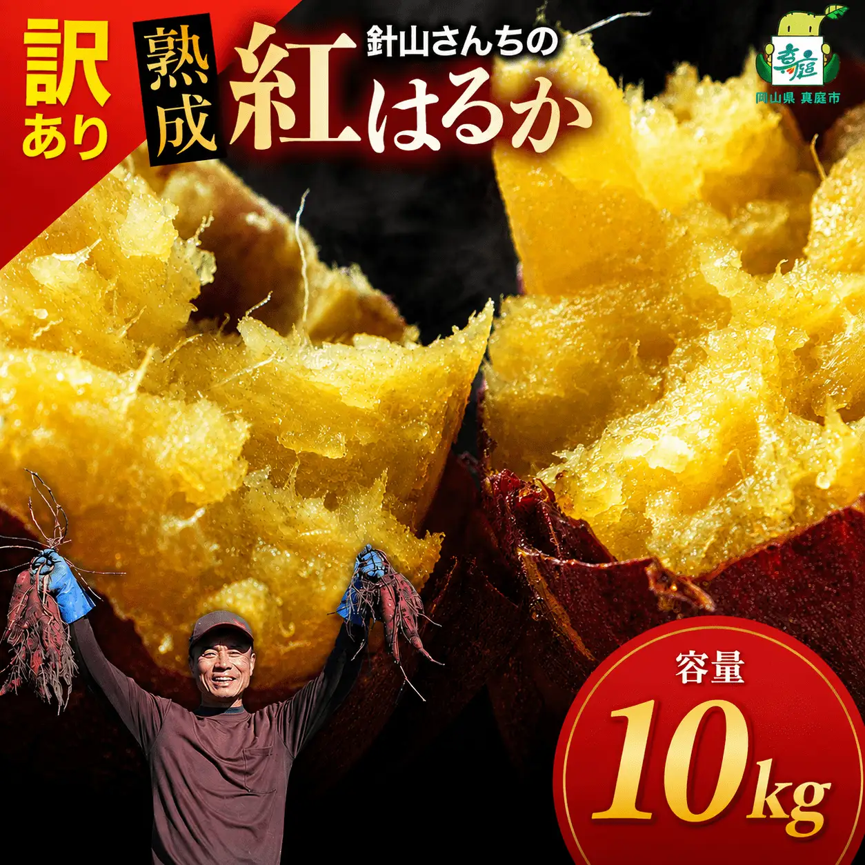【訳あり】針山さんちのさつまいも 紅はるか 10kg / さつまいも 紅はるか 岡山県 野菜 【ybrf003-02】