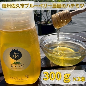 長野県産はちみつ 900g（純粋・非加熱・天然100%） 信州 佐久市 無添加 国産 アカシア 蜂蜜 ハニー パン ヨーグルト 希少 ブルーベリー はちみつ