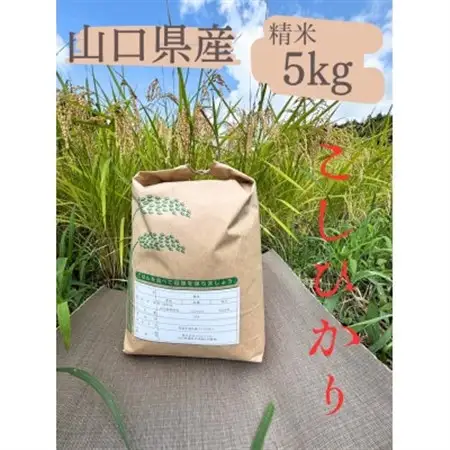 こしひかり　精米5kg【1693700】
