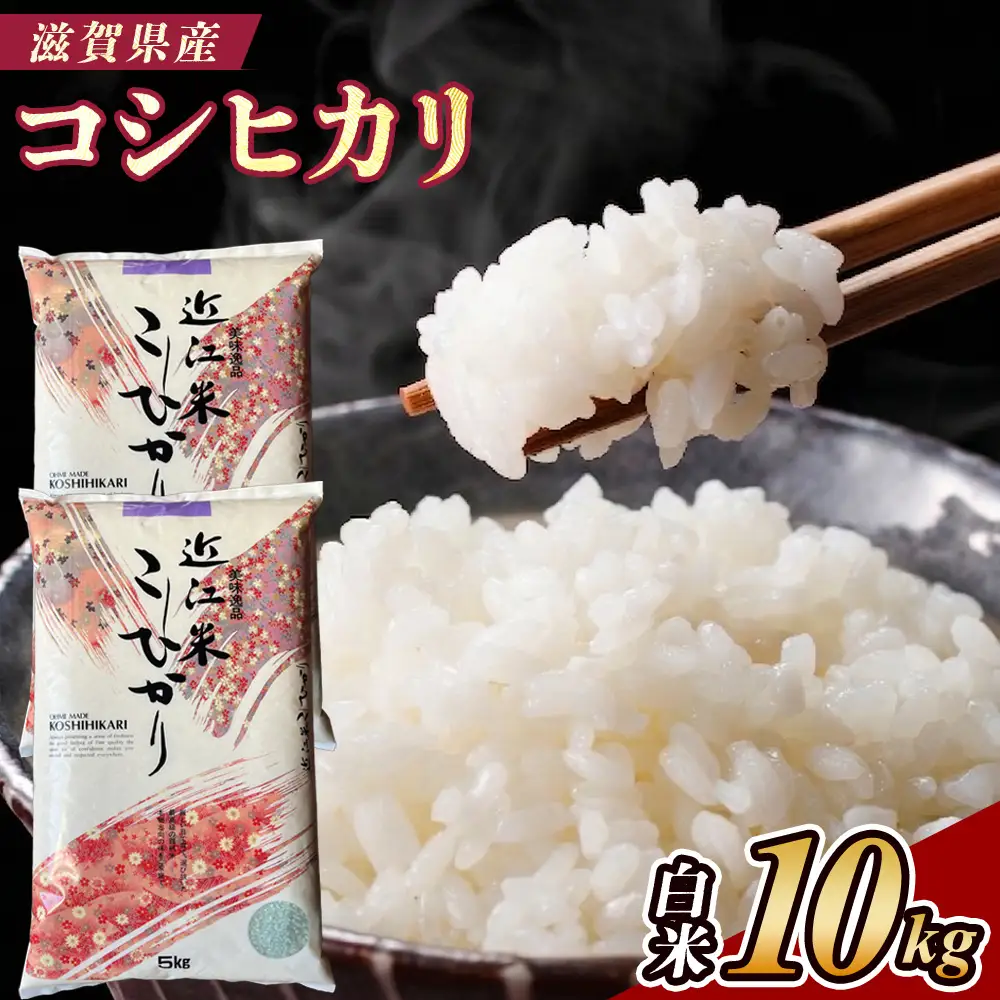 【令和7年産】近江米コシヒカリ白米10kg（5kg×2袋）