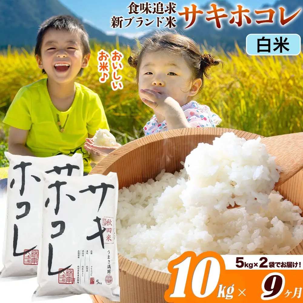 米《定期便9ヶ月》サキホコレ【白米】米どころ 秋田県産 令和7年産 10kg（5kg×2袋）大仙市