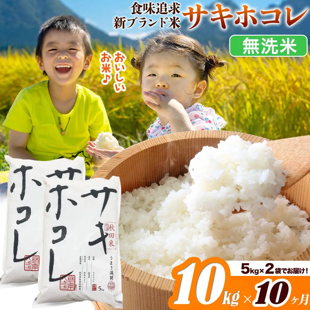 米《定期便10ヶ月》サキホコレ【無洗米】米どころ 秋田県産 令和7年産 10kg（5kg×2袋）大仙市