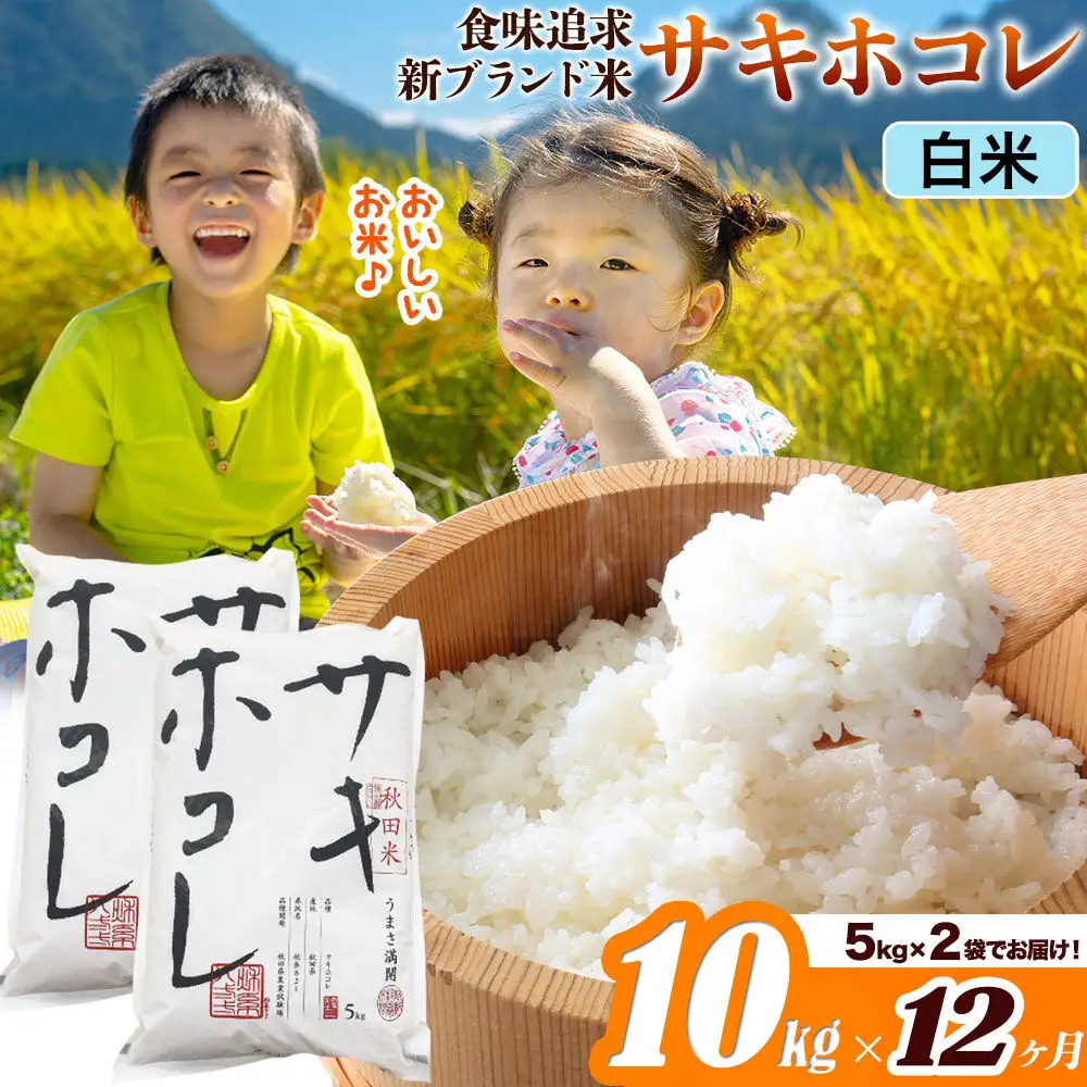 米《定期便12ヶ月》サキホコレ【白米】米どころ 秋田県産 令和7年産 10kg（5kg×2袋）大仙市