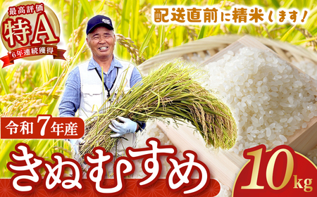 【在庫限定】令和7年産米 きぬむすめ 10kg （大上農園）数量限定 米 白米 きぬむすめ