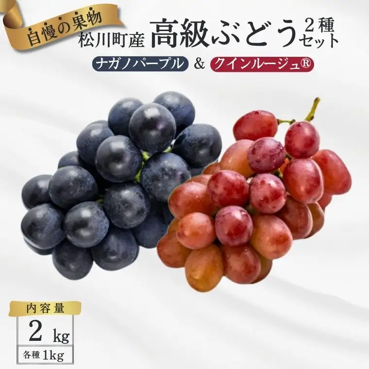 TK31　ぶどう2種セット （ナガノパープル・クイーンルージュ®） 約2kg 贈答 ／ 2026年9月中旬～10月中旬頃 配送予定 // 長野県 南信州 種なし 葡萄 セット ナガノパープル クイーンルージュ 高品質 贈答 ギフト お取り寄せ 詰め合わせ