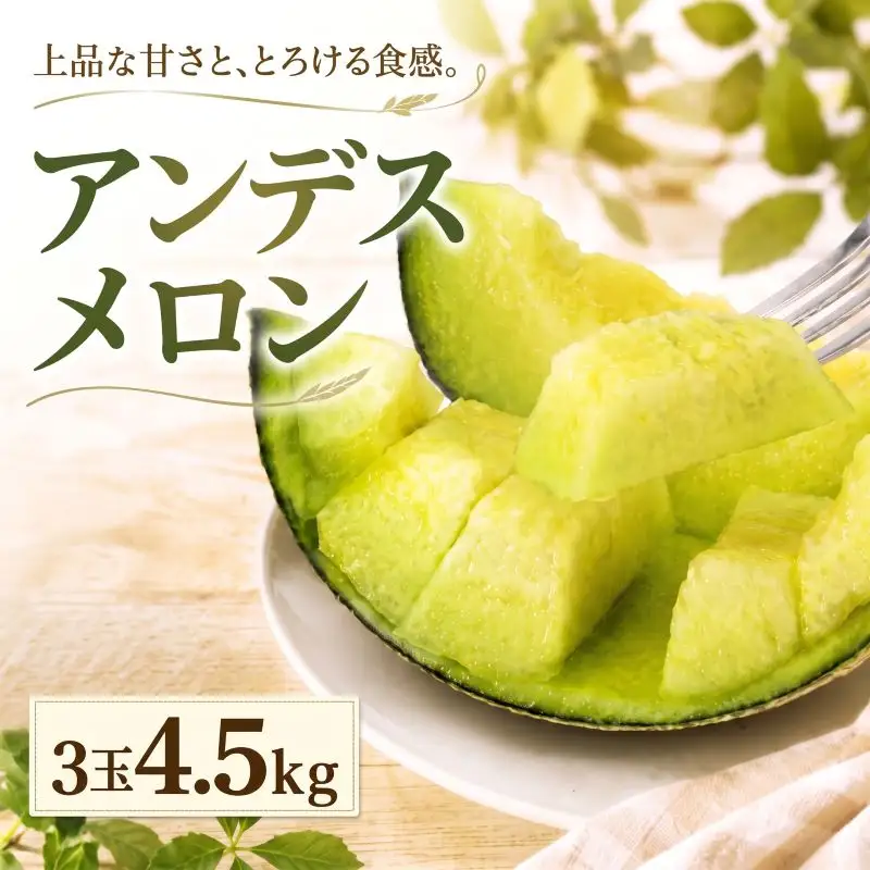 【2027年発送】 アンデスメロン 3玉 4.5kg前後 青肉メロン