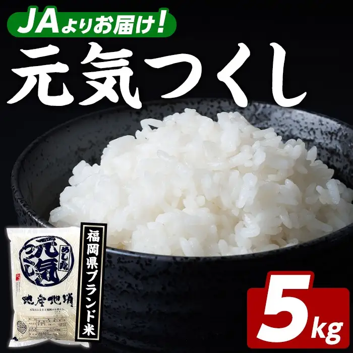 福岡県ブランド米 元気つくし (5kg) お米 米 コメ おこめ こめ げんきつくし 白米 ごはん ご飯 福岡県産 ブランド米 常温 常温保存 おにぎり おむすび お弁当 【農産物直売所ほたるの里】as52-001