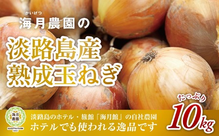 海月館 自社農場栽培！淡路島産 玉ねぎ 10kg