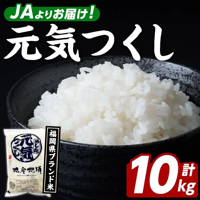 福岡県ブランド米 元気つくし (10kg・5kg×2袋) お米 米 コメ おこめ こめ げんきつくし 白米 ごはん ご飯 福岡県産 ブランド米 常温 常温保存 おにぎり おむすび お弁当 【農産物直売所ほたるの里】as52-002