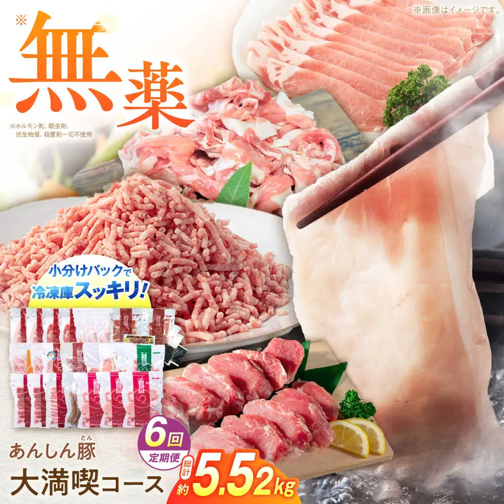 【6回定期便】 豚肉大満喫コース 計5.52kg 藤井ファーム[AWAF073]豚肉セット