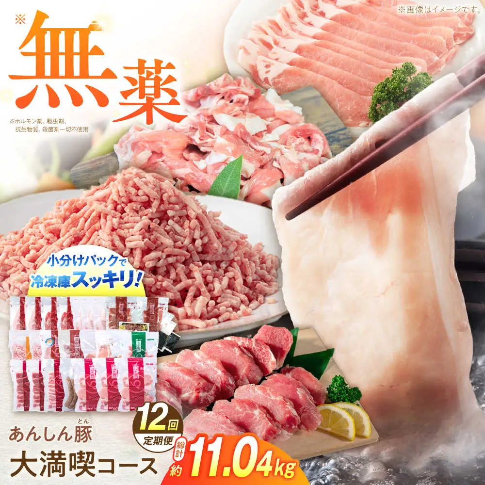 【12回定期便】豚肉大満喫コース 計11.04kg 藤井ファーム[AWAF074]豚肉セット