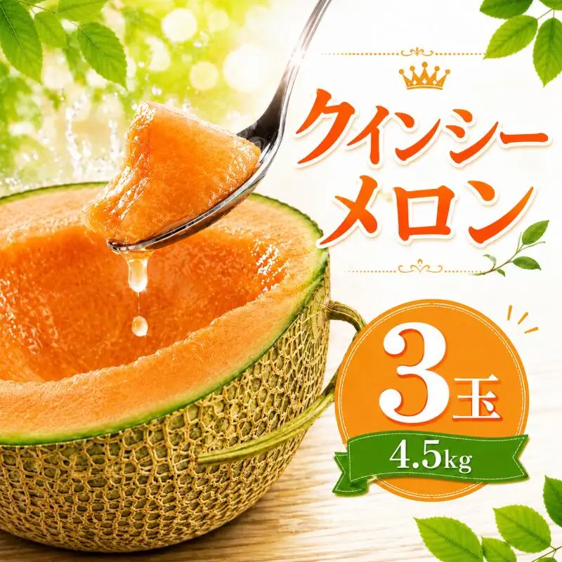 【2027年発送】 クインシーメロン 3玉 約4.5kg 赤肉メロン