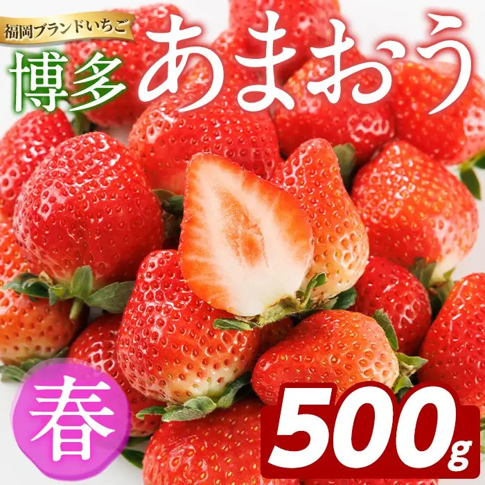 ＜先行予約受付中！2027年2月上旬以降順次発送予定＞博多 あまおう《春》 (計500g・250g～270g×2パック) いちご イチゴ 苺 ストロベリー 果物 フルーツ おやつ デザート 冷蔵 アマオウ 旬 小分け 【農産物直売所ほたるの里】as52-008