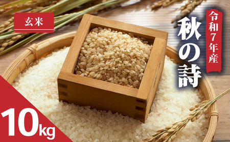 【 令和7年産 米 10kg 】 秋の詩 玄米 米 2025年産 あきのうた 国産 滋賀県 日野町 農家直送 お米 精米 おこめ こめ 産地直送 ふるさと納税