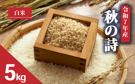 【 令和7年産 米 5kg 】 秋の詩 白米 米 2025年産 あきのうた 国産 滋賀県 日野町 農家直送 お米 精米 おこめ こめ 産地直送 ふるさと納税