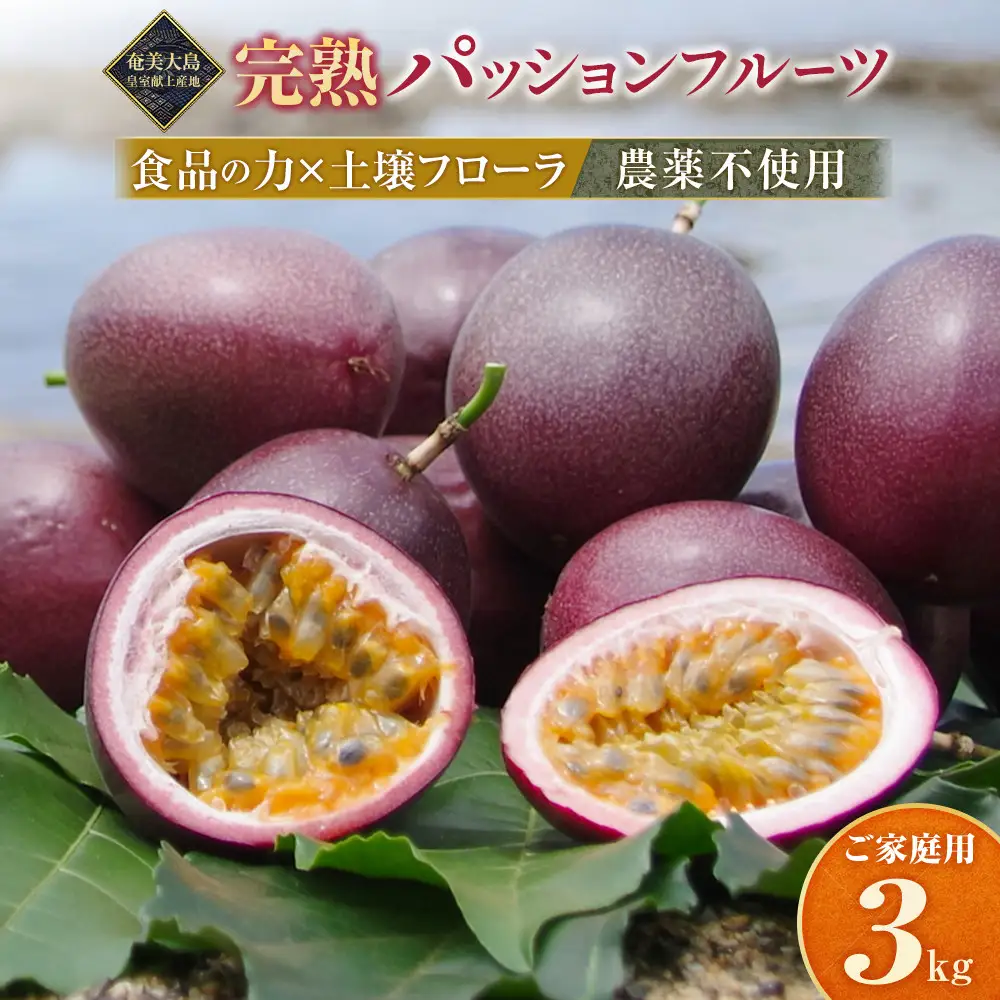 期間限定【農薬不使用】奄美完熟パッションフルーツ 約3kg（農家直送）｜食品微生物　バイオスティミュラント　土壌フローラの改善　点滴潅水　皇室献上　送料無料　国産　無農薬