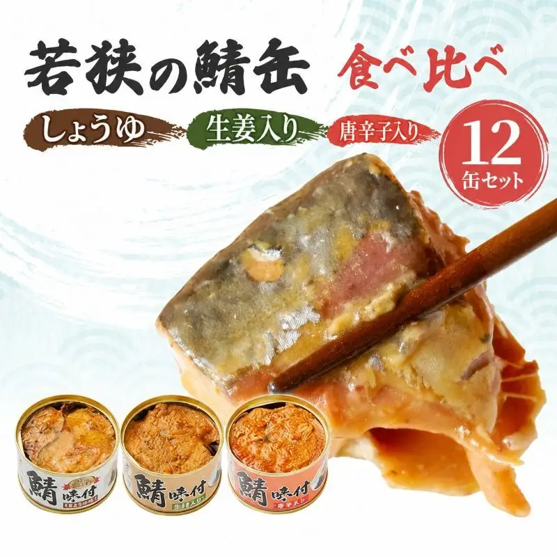 サバ缶 3種12缶 缶詰 ごはんのお供 常温保存 備蓄 サバ缶