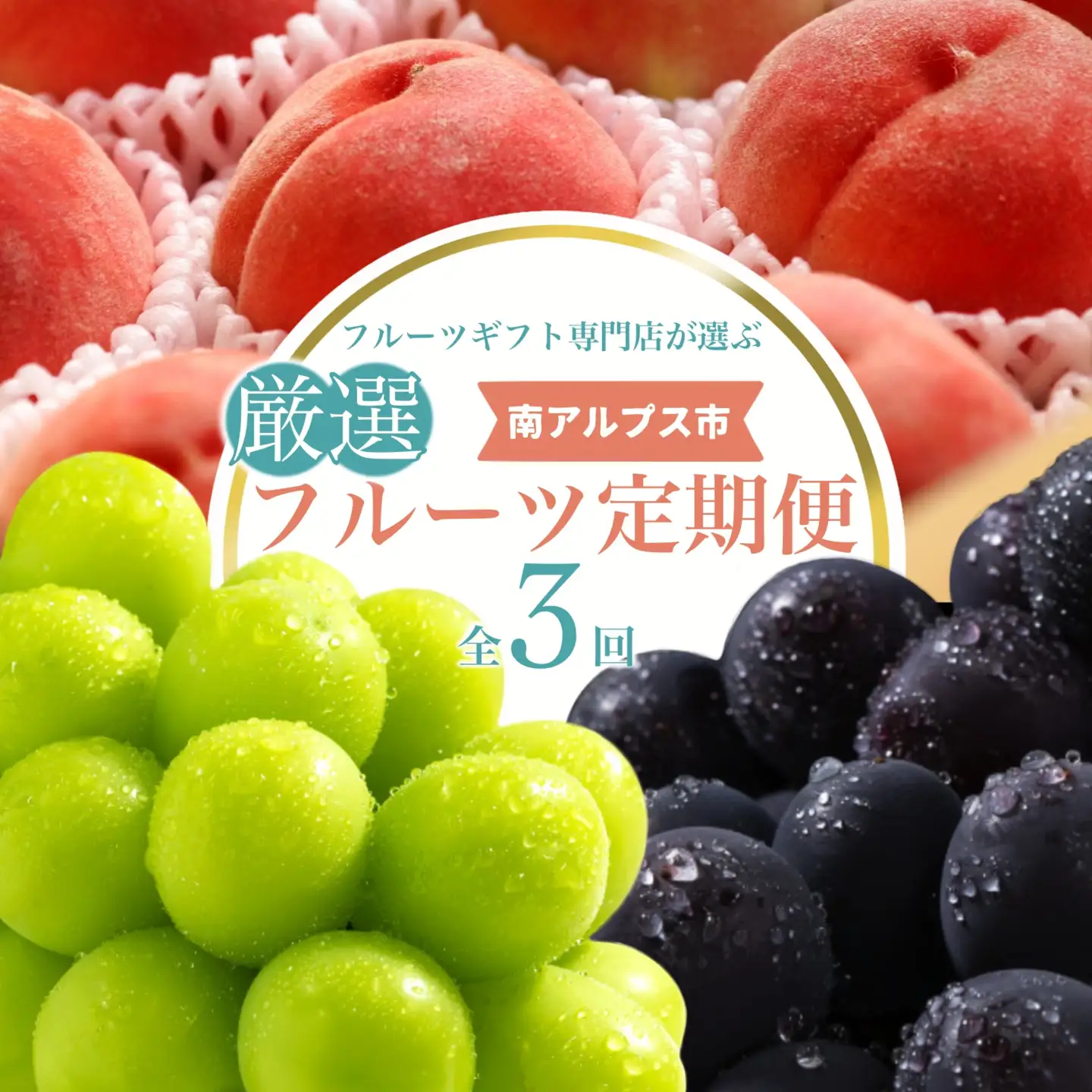 ＜2026年発送先行予約＞フルーツギフト専門店が選ぶ南アルプスの厳選フルーツ定期便　全3品種（桃・黒ぶどう・シャインマスカット）ALPAH055