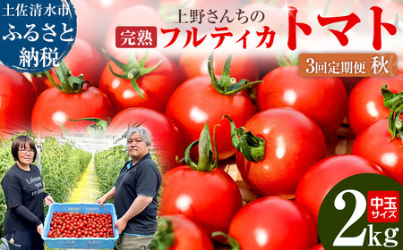 完熟フルティカトマト2kg（中玉サイズ）3回定期便 秋 10月/11月/12月にお届け 天然地下水使用  甘熟ミディトマト とまと 2000g 2キロ 野菜 サラダ 料理 美味しい ギフト 国産 高知県 土佐清水市【J00224】