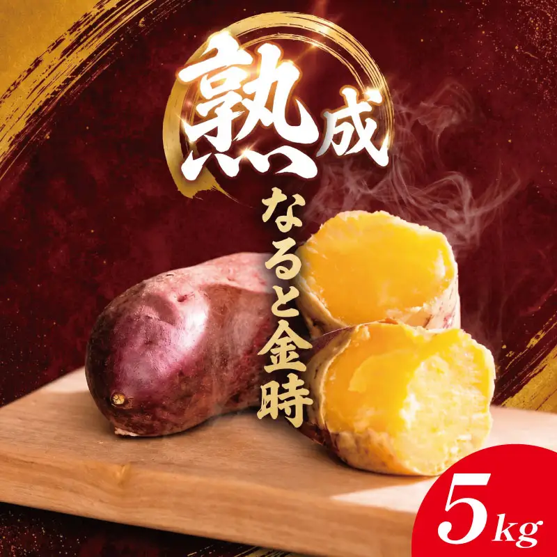 さつまいも 5kg 2Lサイズ なると金時 さつまいも