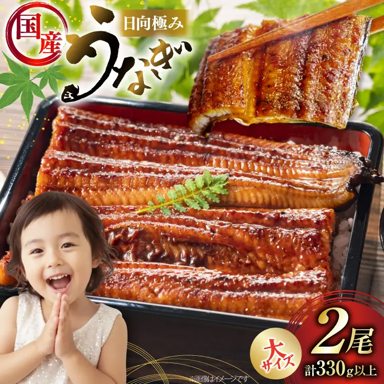 うなぎ 国産 日向うなぎ 蒲焼 大 2尾 計330g以上
