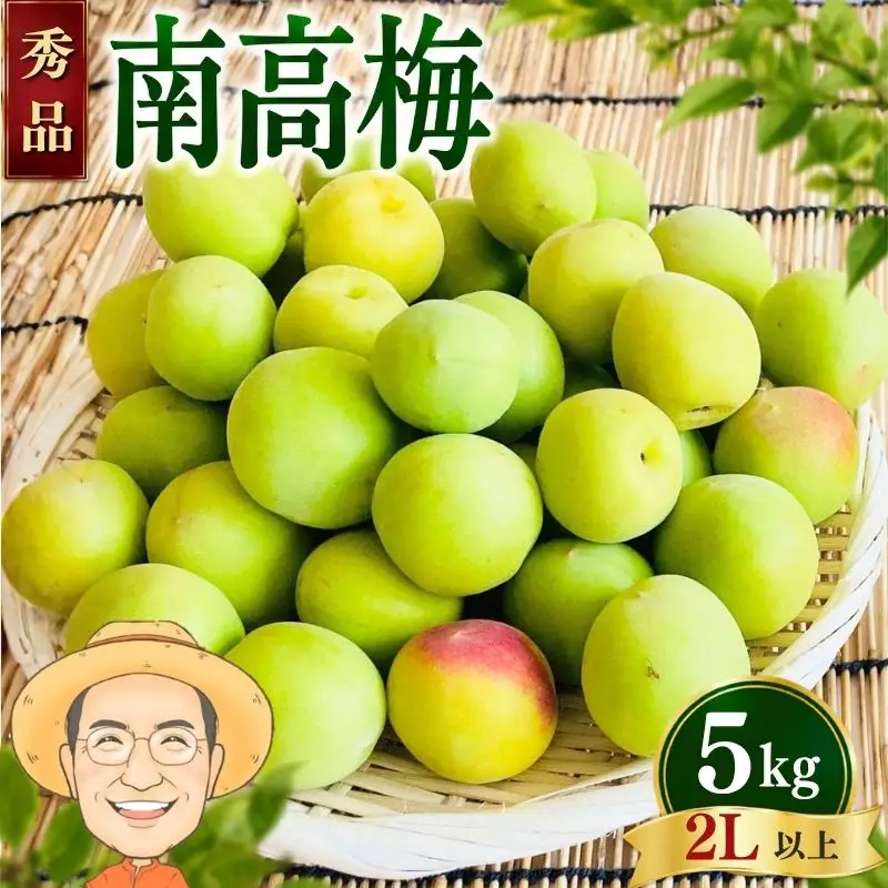 南高梅 青梅 約5kg (＋補償100g)【秀品】 2L以上 カキエモン農園 【BX-kkem010A】