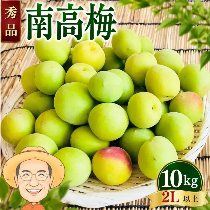 南高梅 青梅 約10kg (＋補償100g)【秀品】 2L以上 カキエモン農園 【BX-kkem011A】
