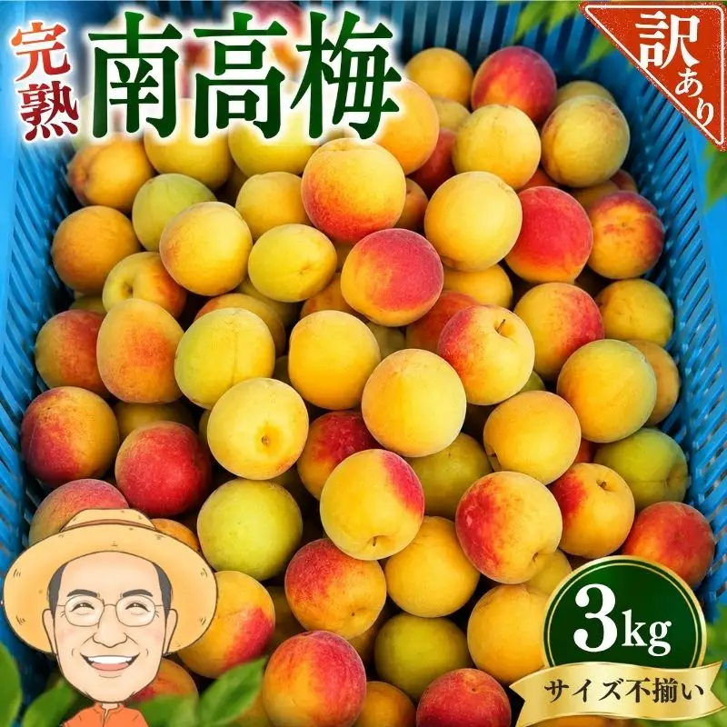  南高梅 約3kg (＋補償100g)【訳あり】完熟 サイズ不揃い カキエモン農園 【BX-kkem018A】