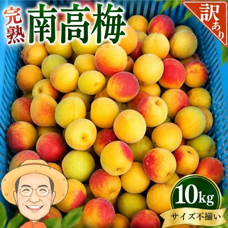 南高梅 約10kg (＋補償100g) 【訳あり】完熟 サイズ不揃い カキエモン農園【BX-kkem020A】