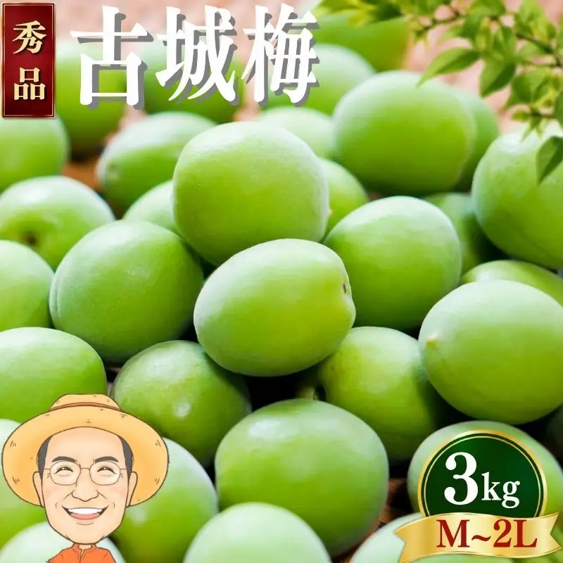 古城梅 約3kg (＋補償100g)【秀品】 M~2Lサイズ カキエモン農園 【BX-kkem021】