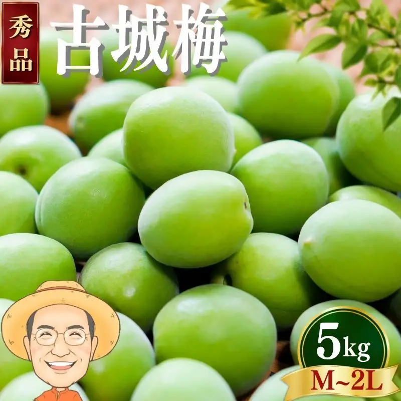 古城梅 約5kg (＋補償100g)【秀品】 M~2Lサイズ カキエモン農園【BX-kkem022】