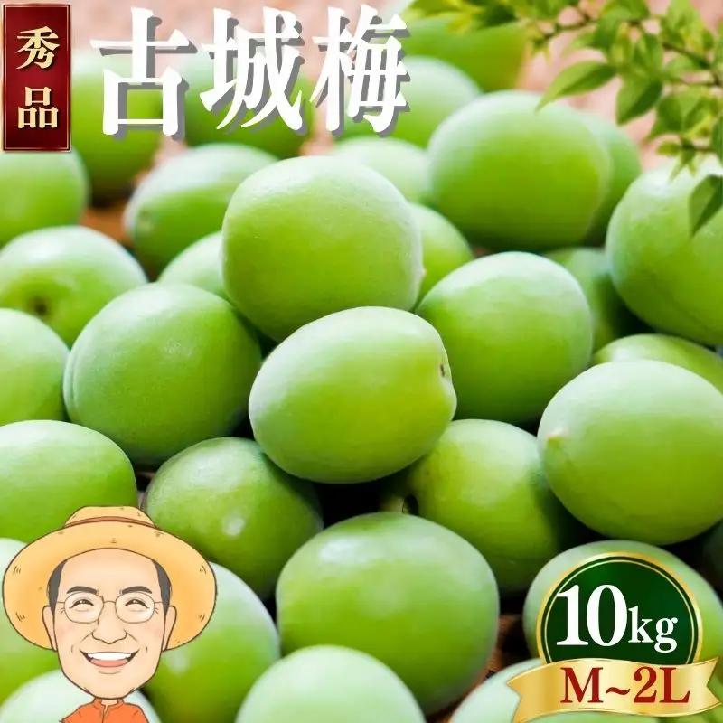 古城梅 約10kg (＋補償100g)【秀品】 M~2Lサイズ カキエモン農園【BX-kkem023A】