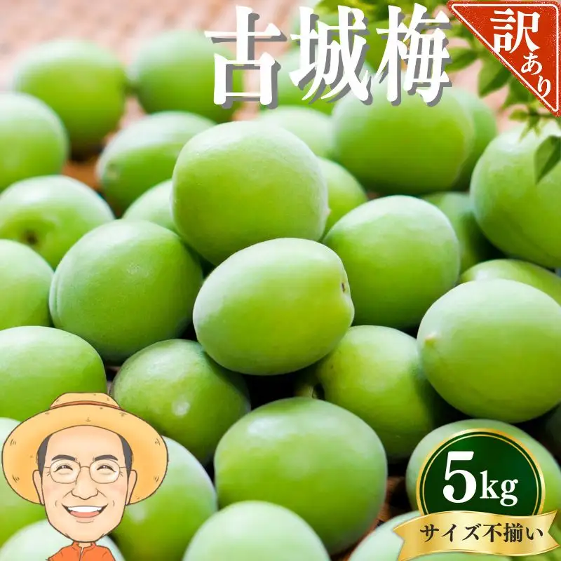 古城梅 約5kg (＋補償100g)【訳あり】 サイズ不揃い カキエモン農園【BX-kkem025】