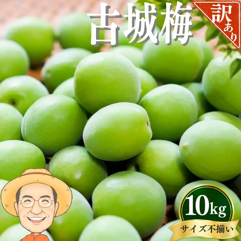 古城梅 約10kg (＋補償100g)【訳あり】 サイズ不揃い カキエモン農園【BX-kkem026A】