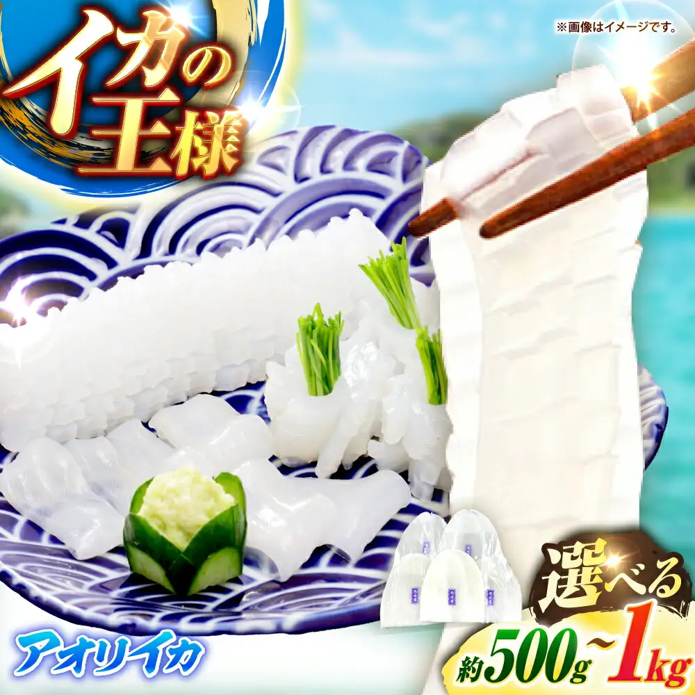 【お中元】アオリイカ 刺身用 500g [JCC023] イカ刺し