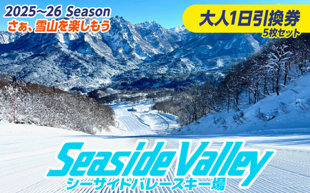 シーサイドバレースキー場 １日引換券 ５枚セット (大人)《市民割価格》【新潟県 糸魚川市 シーサイドバレー スキー スノーボード チケット リフト券 引換券】