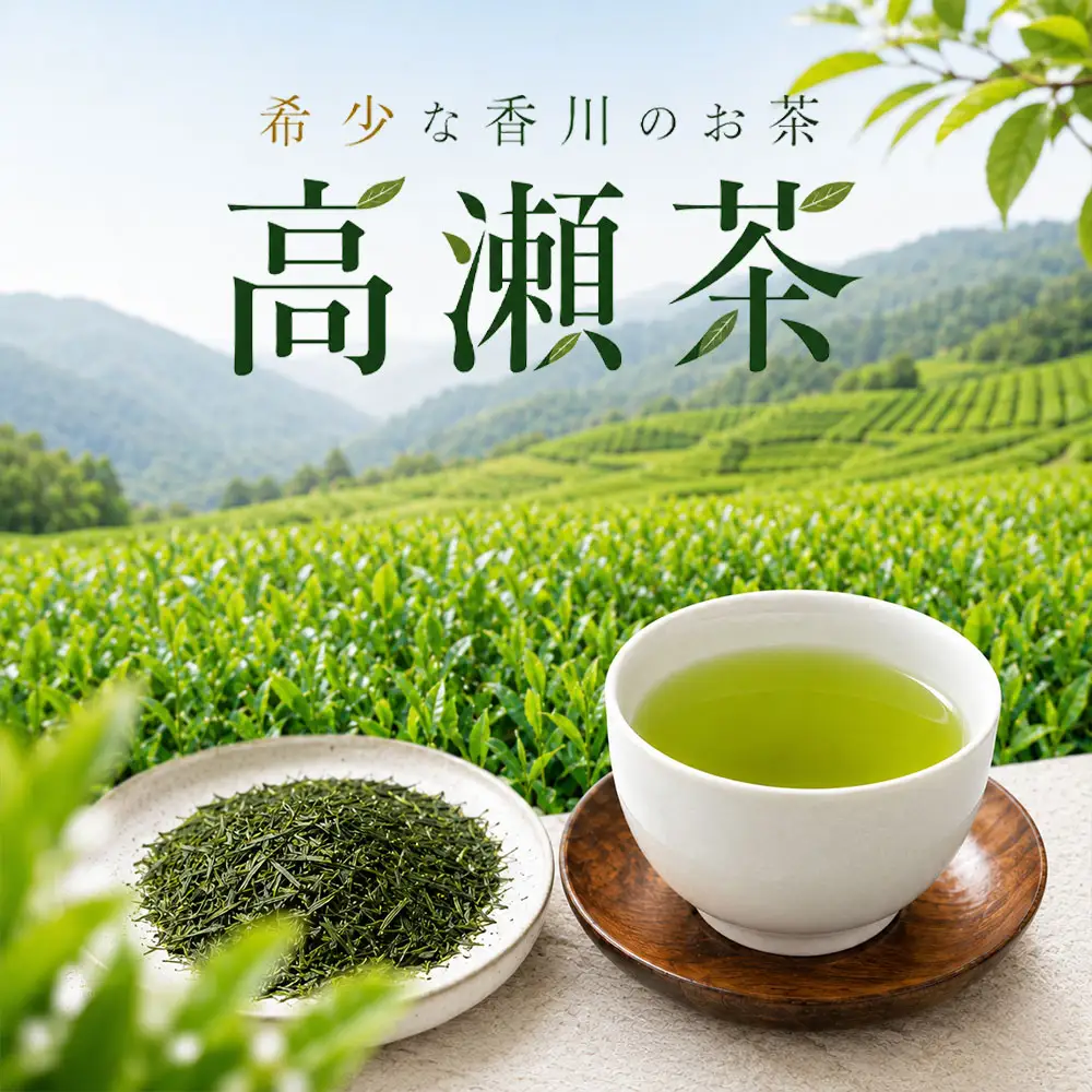 希少な香川のお茶【高瀬銘茶】讃岐（さぬき）煎茶80g×60袋　（三-127)