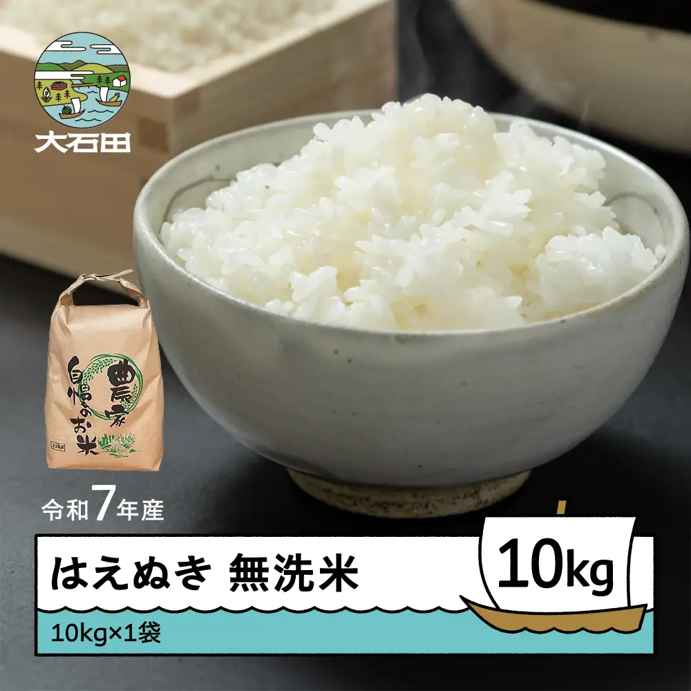 令和7年産 はえぬき  無洗米 順次発送 10kg 10kg×1袋 山形県産 ap-hamxa10x1-0