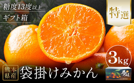 袋掛けみかん 夢味 ときめき 贈答用 熊本県産 約3kg (大or中) 柑橘《2027年1月中旬-2月中旬頃出荷》 みかん フルーツ 果物 3kg 苓北町産 熊本県 苓北町