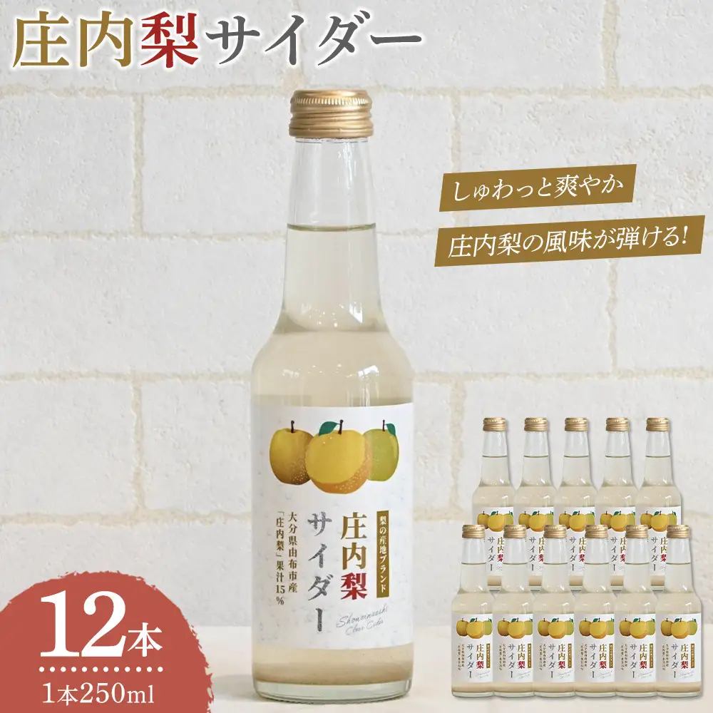 梨サイダー 250ml×12本入り