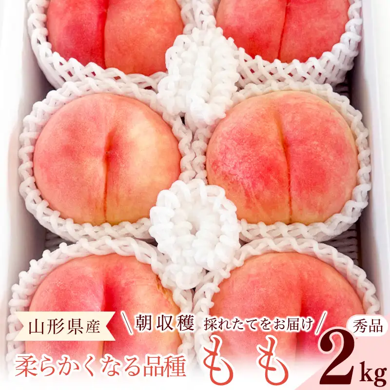 先行予約 令和8年産 山形の桃 やわらかくなる白桃 秀品 2kg 品種おまかせ 2026年産 山形県産【2026年8月上旬頃～9月下旬頃発送予定】※配送不可 沖縄・離島　010-B-RF005