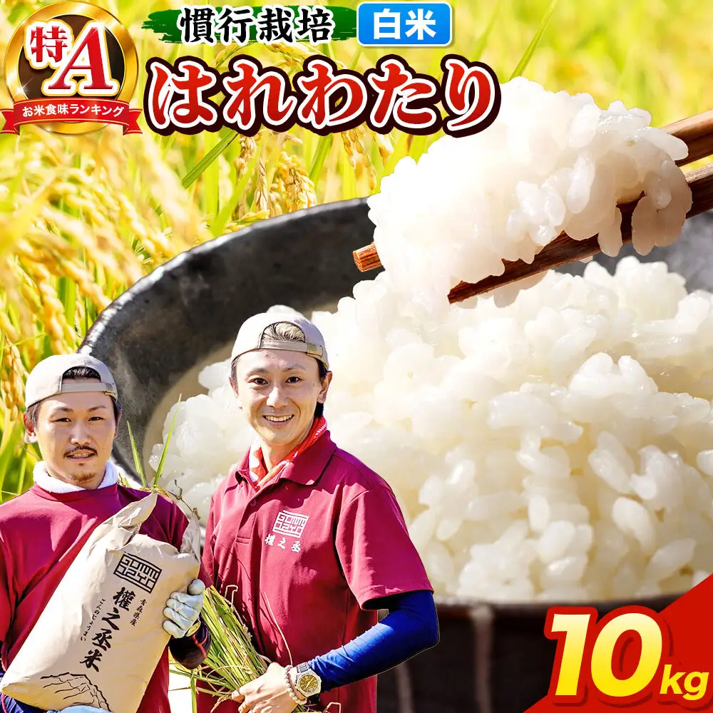 米 はれわたり 10kg［白米］特A 慣行栽培 青森県産 令和7年産