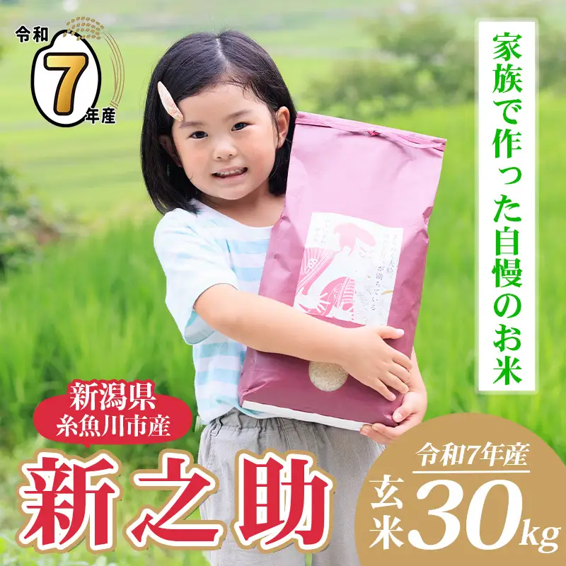 令和7年産 新之助 玄米 30kg （精米サービス可能／小分け不可）【新潟県産 農家直送 新之助 2025年産 プロが認めた美味しいお米 百姓や伝六 美味しい 農家自慢 お米 白米 おにぎり お弁当 新潟米】