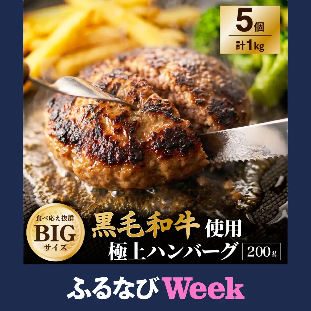 【ふるなびWEEK対象】黒毛和牛使用！ 200gのBIG手作りハンバーグ 200g×5個 （計1kg） ／ 黒毛和牛 黒毛和種 和牛 国産牛 牛肉 お肉 肉 大阪府 阪南市 冷凍
