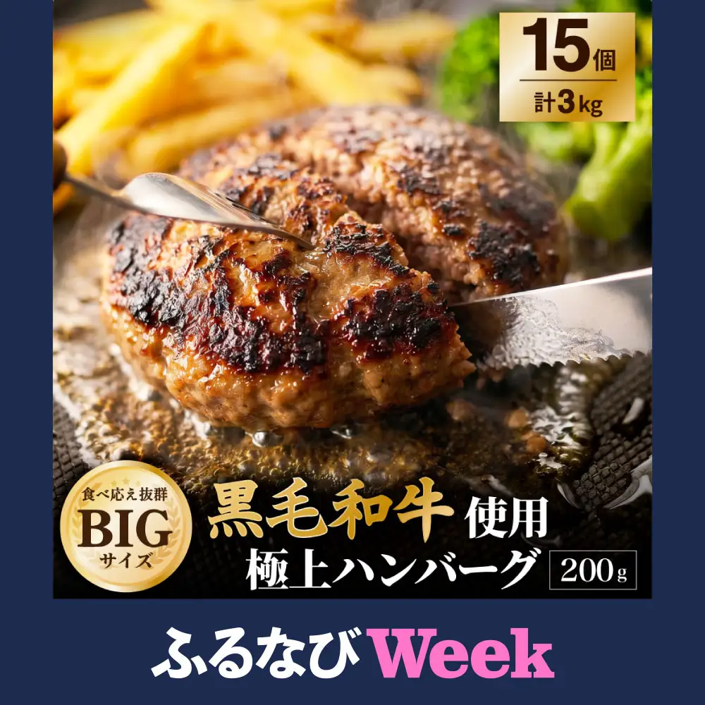 【ふるなびWEEK対象】黒毛和牛使用！ 200gのBIG手作りハンバーグ 200g×15個 （計3kg） ／ ハンバーグ 黒毛和牛 黒毛和種 和牛 国産牛 牛肉 お肉 肉 大阪府 阪南市 冷凍