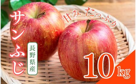 りんご サンふじ 10kg 果物 秀品 りんご
