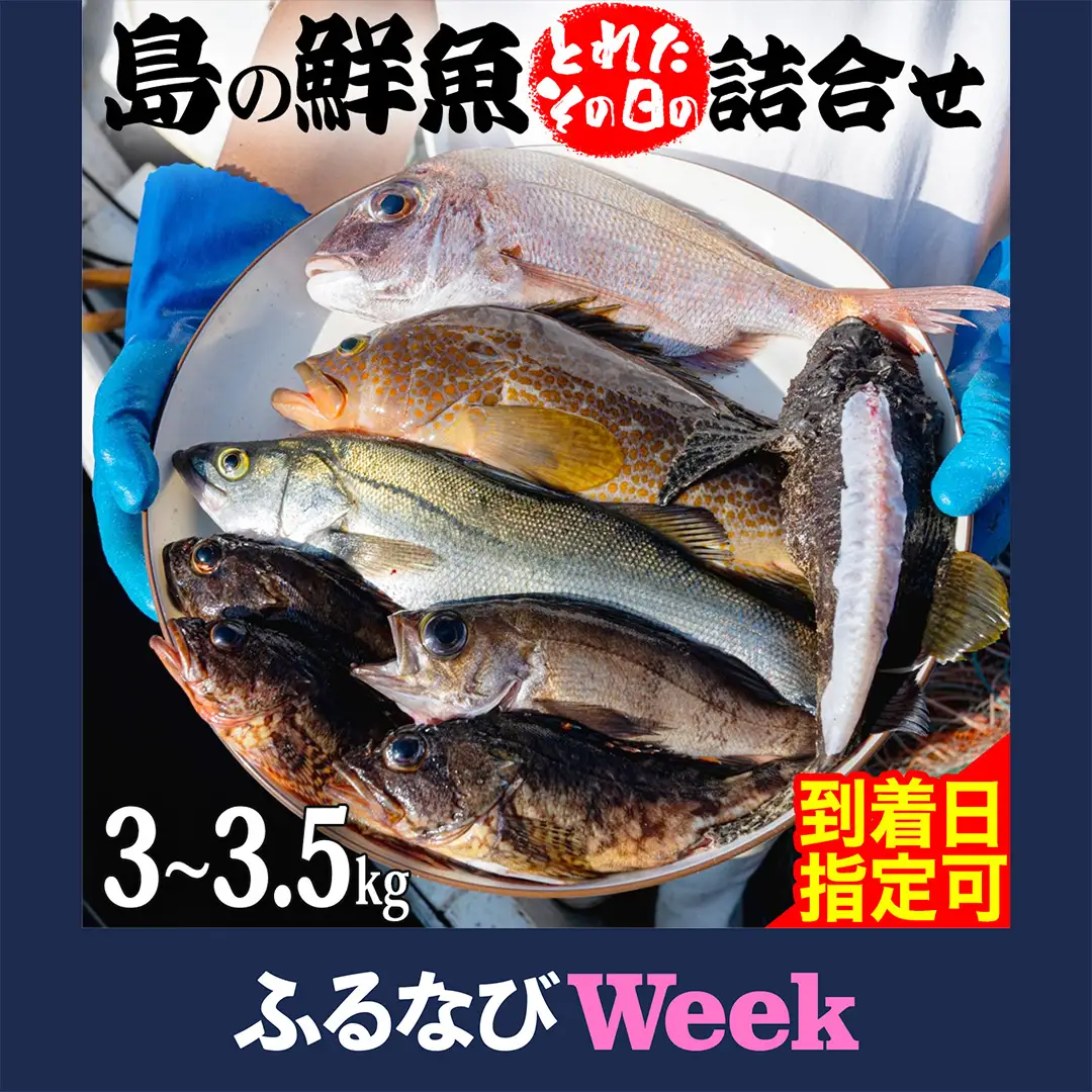 【ふるなびWEEK対象】 鮮魚 セット 【 配達地域限定 】 神経締め 血抜き済 3～3.5kg 冷蔵 産地直送 瀬戸内海