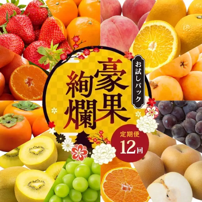 【定期便12回】 定期便 少量 フルーツ 果物 丸栄青果