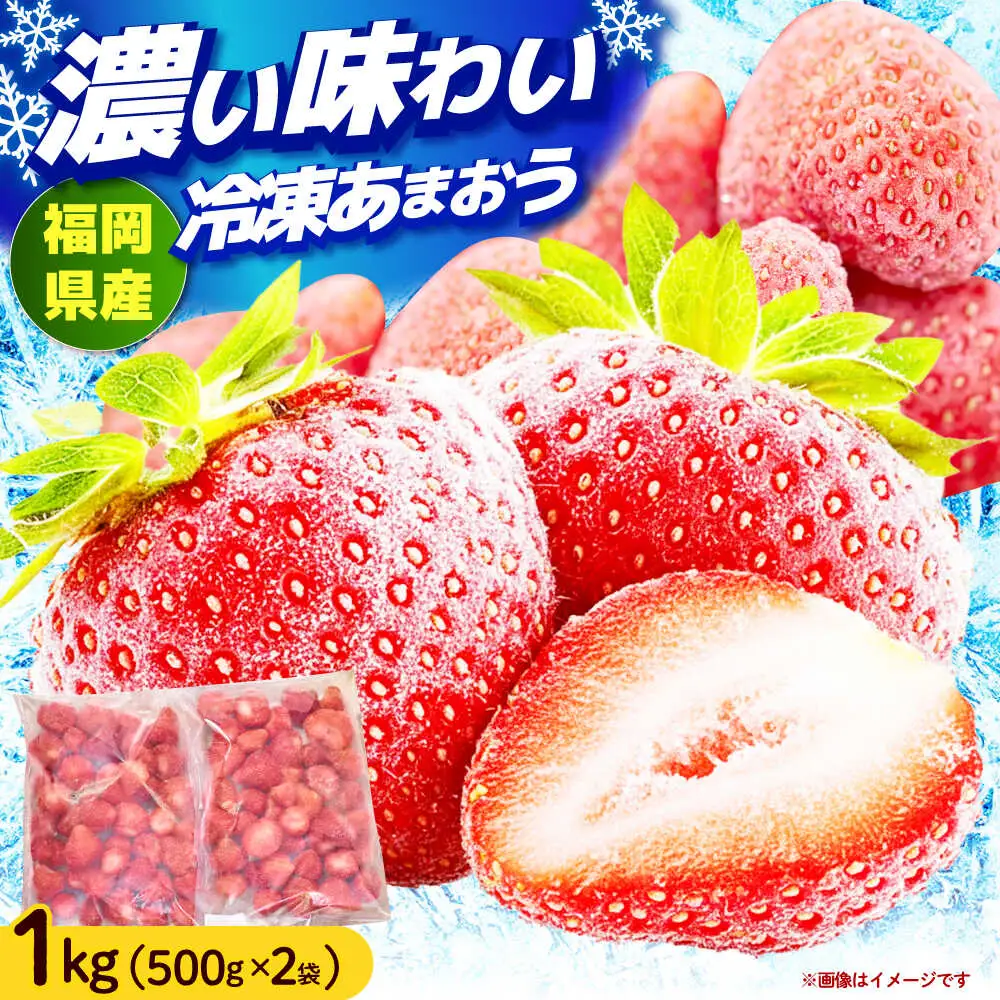 いちご 【4月以降発送】 福岡産 1kg いちご [ABET001] あまおう 果物