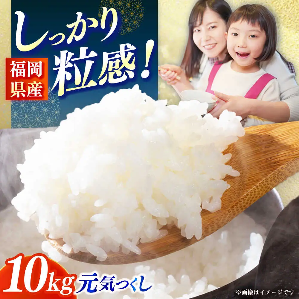 【令和7年産】果物屋さんが選んだ米 元気つくし 10kg 米 白米 お米 ブランド米[ABET011]